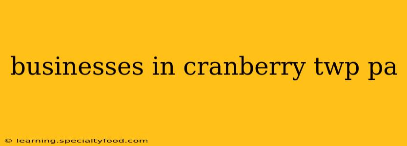 businesses in cranberry twp pa