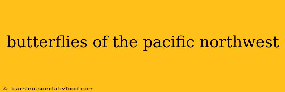 butterflies of the pacific northwest
