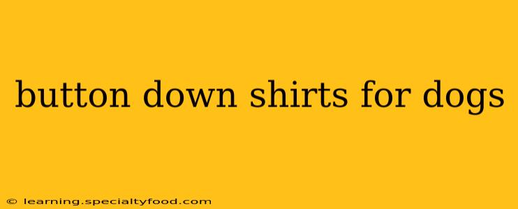 button down shirts for dogs