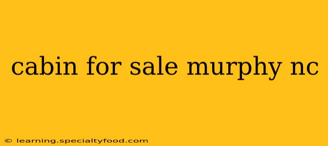 cabin for sale murphy nc
