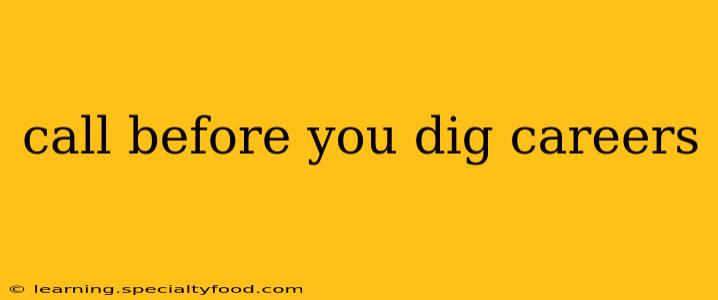call before you dig careers