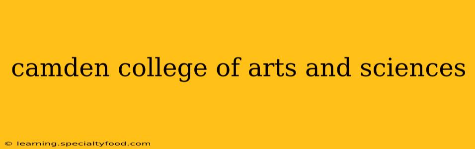 camden college of arts and sciences
