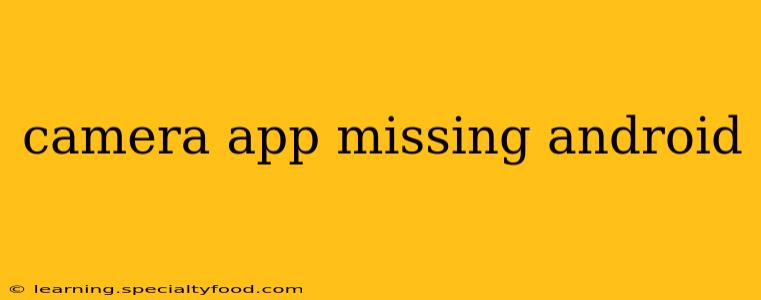 camera app missing android