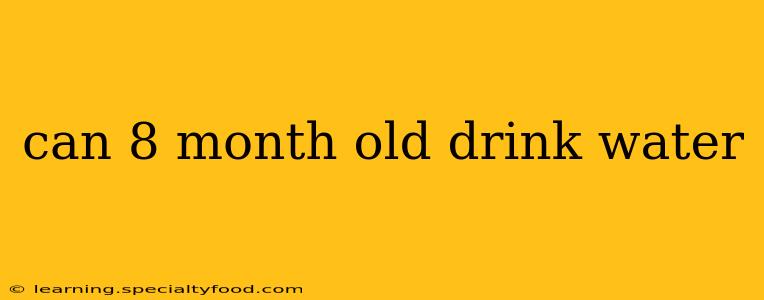 can 8 month old drink water