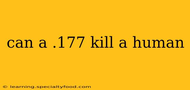 can a .177 kill a human