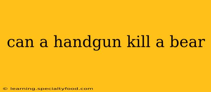 can a handgun kill a bear