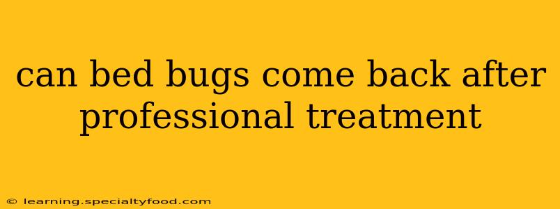 can bed bugs come back after professional treatment