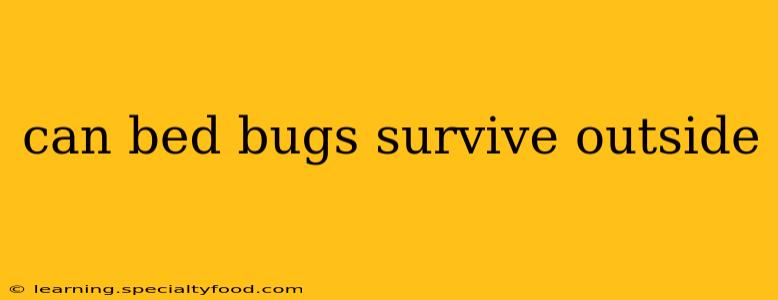 can bed bugs survive outside