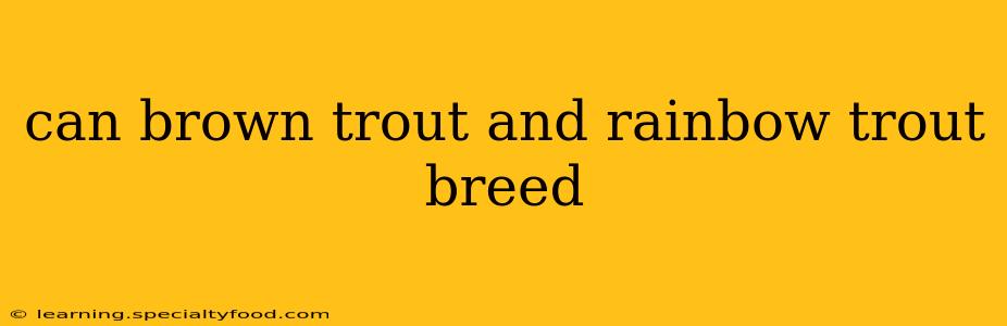 can brown trout and rainbow trout breed