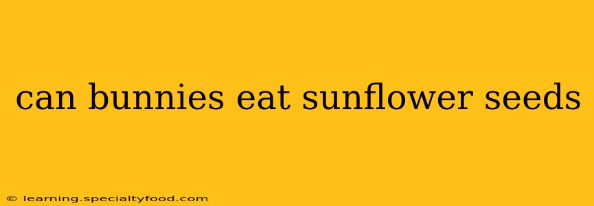 can bunnies eat sunflower seeds