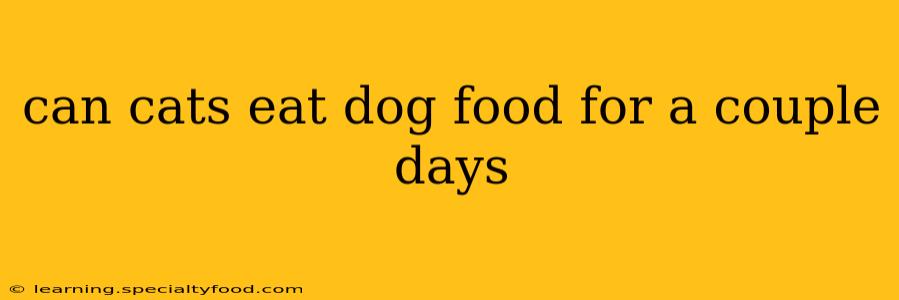 can cats eat dog food for a couple days