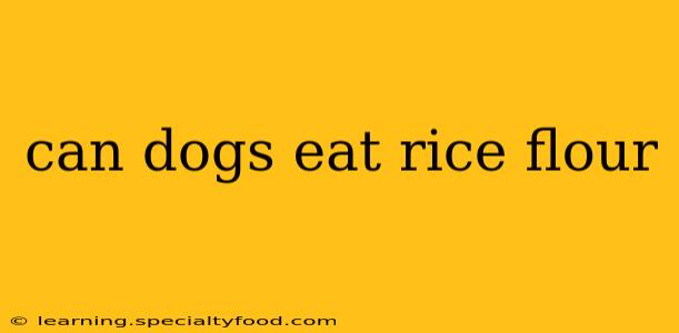 can dogs eat rice flour