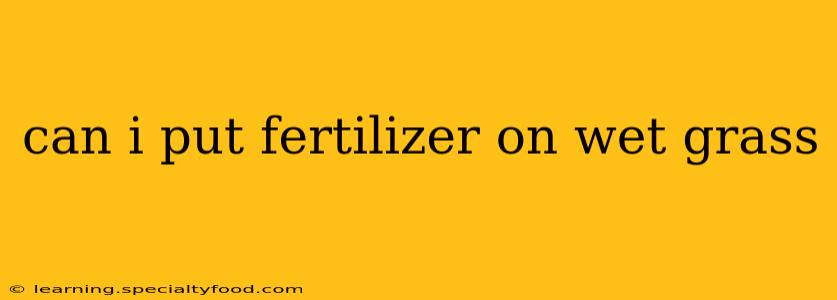 can i put fertilizer on wet grass