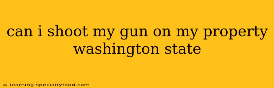 can i shoot my gun on my property washington state
