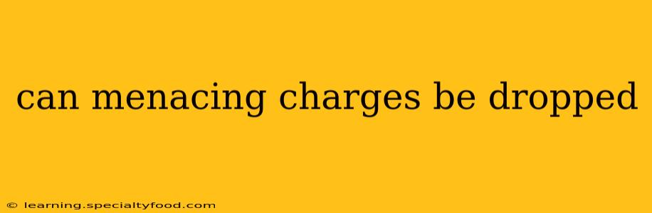 can menacing charges be dropped