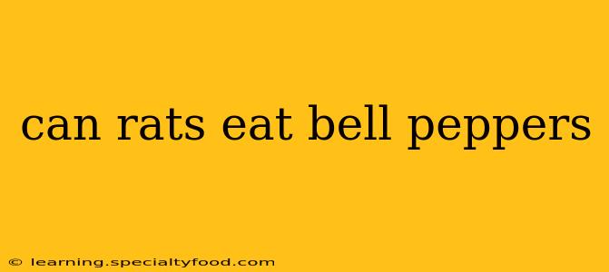 can rats eat bell peppers
