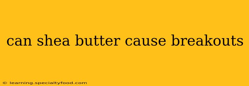 can shea butter cause breakouts
