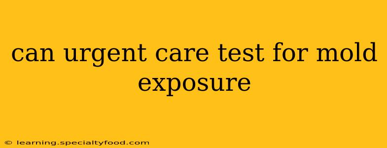 can urgent care test for mold exposure
