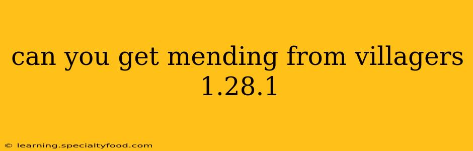 can you get mending from villagers 1.28.1