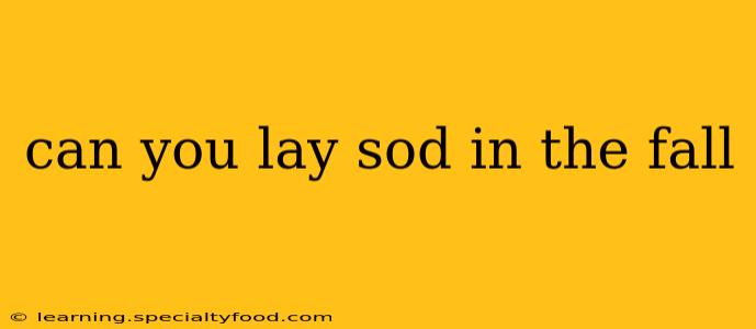 can you lay sod in the fall