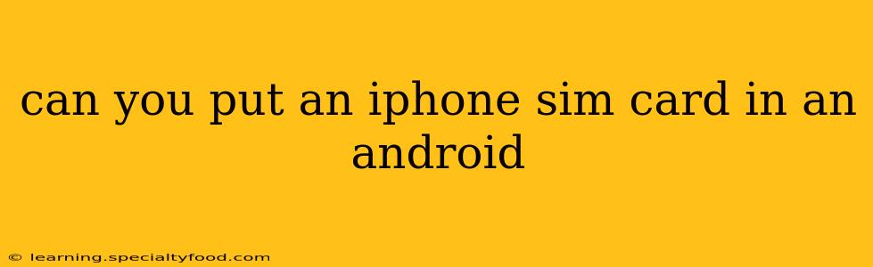can you put an iphone sim card in an android