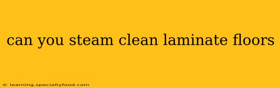 can you steam clean laminate floors