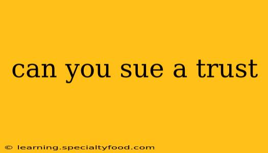 can you sue a trust