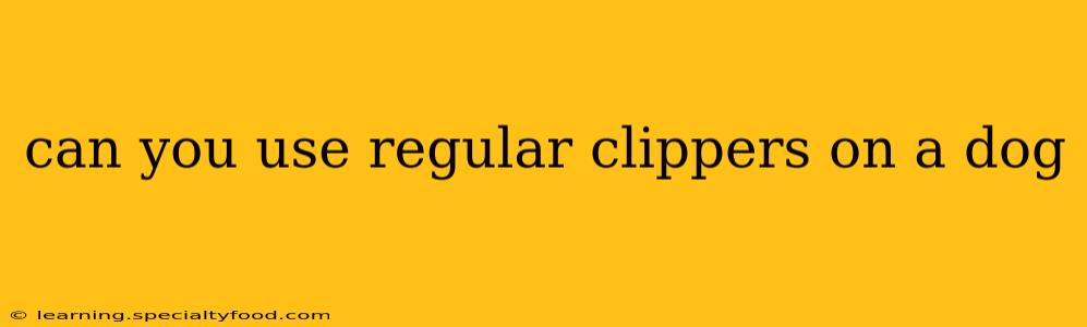 can you use regular clippers on a dog
