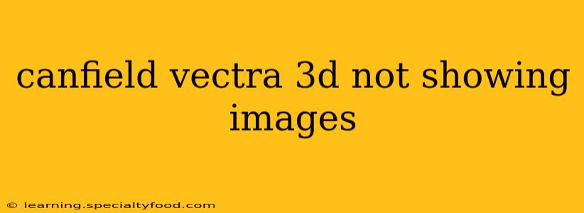 canfield vectra 3d not showing images