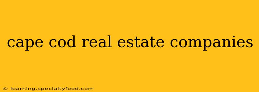 cape cod real estate companies