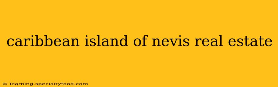 caribbean island of nevis real estate