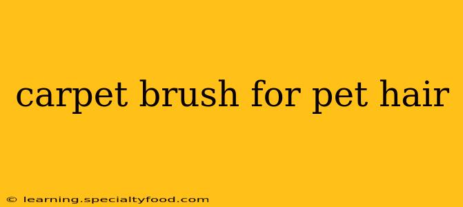 carpet brush for pet hair
