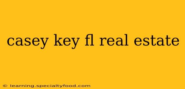 casey key fl real estate