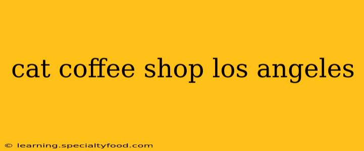 cat coffee shop los angeles