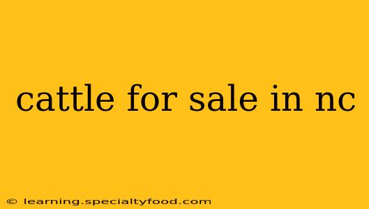 cattle for sale in nc
