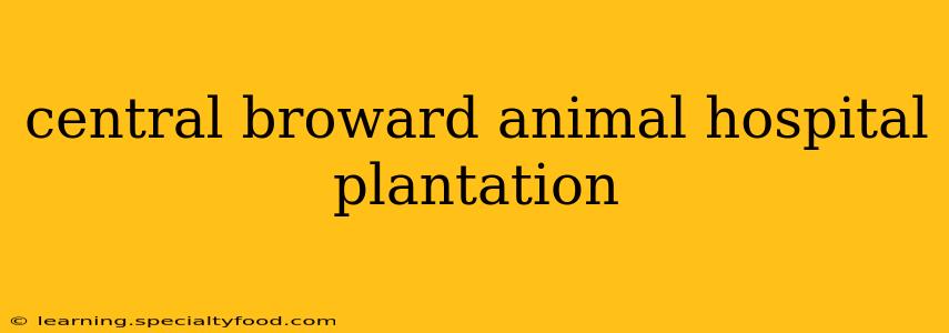 central broward animal hospital plantation
