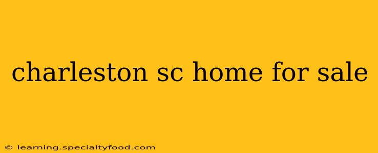 charleston sc home for sale