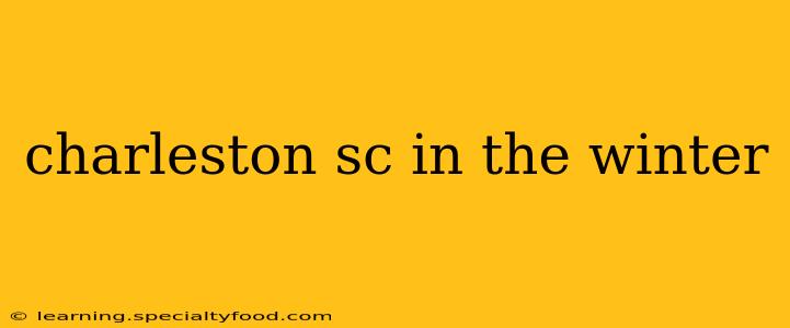 charleston sc in the winter