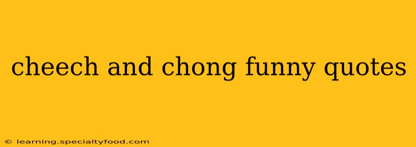 cheech and chong funny quotes