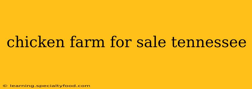 chicken farm for sale tennessee