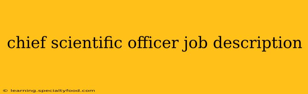 chief scientific officer job description