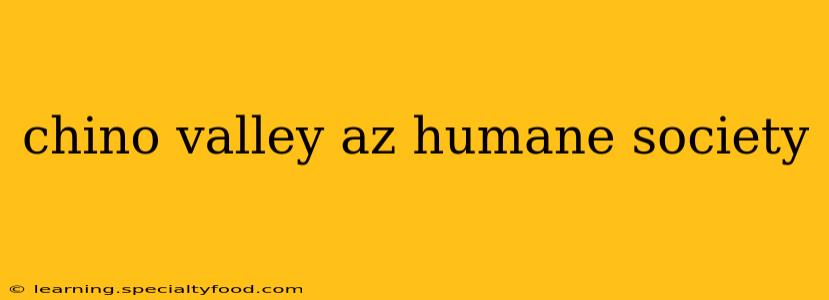 chino valley az humane society