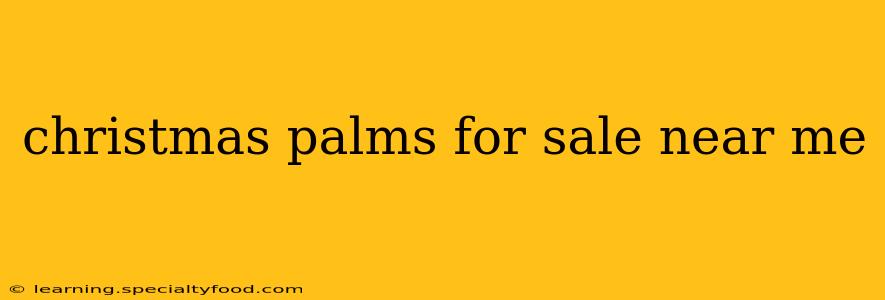 christmas palms for sale near me