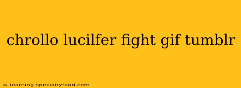 chrollo lucilfer fight gif tumblr