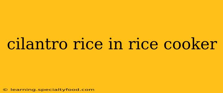 cilantro rice in rice cooker