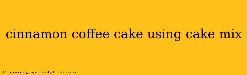 cinnamon coffee cake using cake mix
