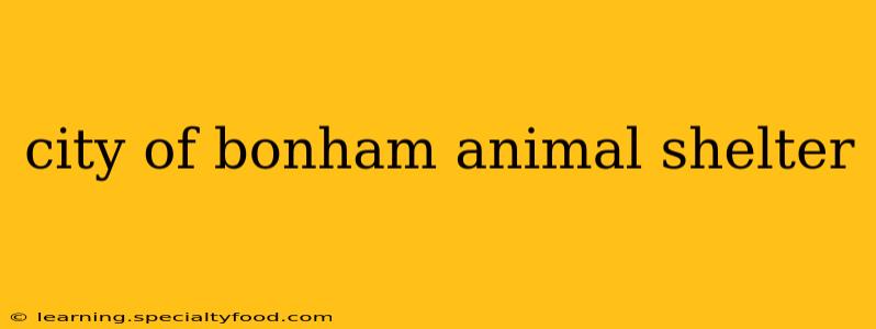 city of bonham animal shelter
