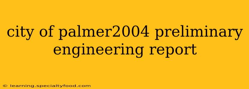 city of palmer2004 preliminary engineering report