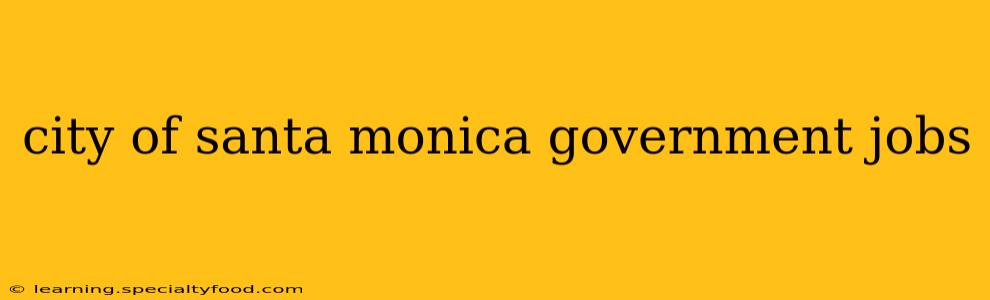 city of santa monica government jobs