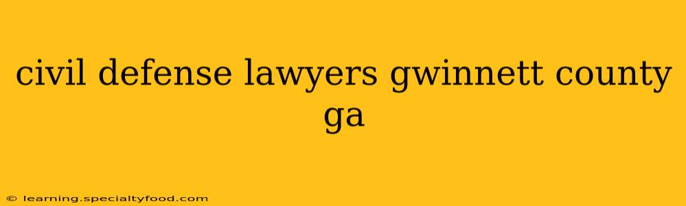 civil defense lawyers gwinnett county ga